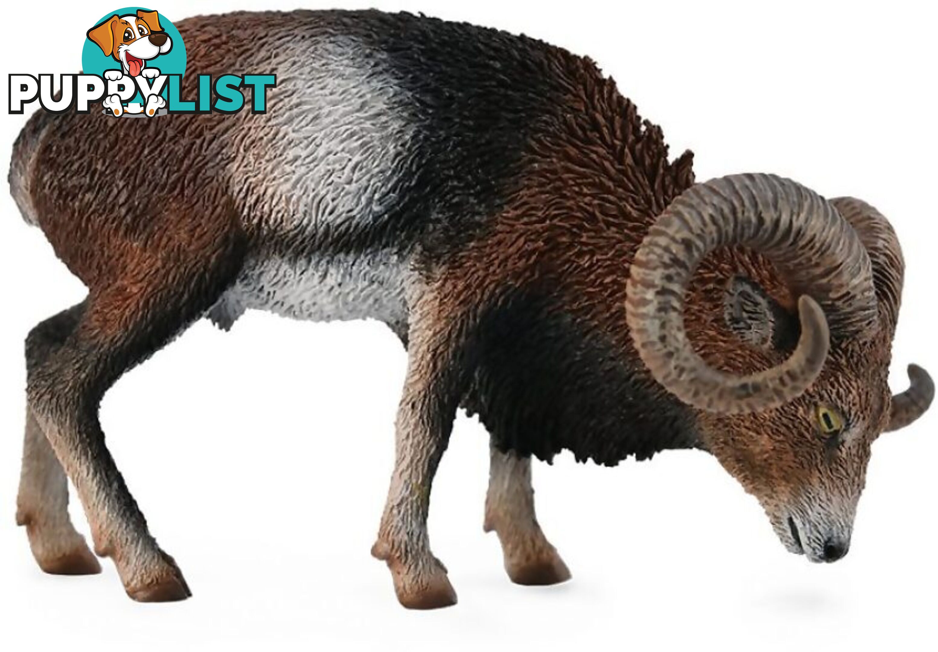 CollectA - European Mouflon Large Wild Animal Figurine - Rpco88682 - 4892900886824