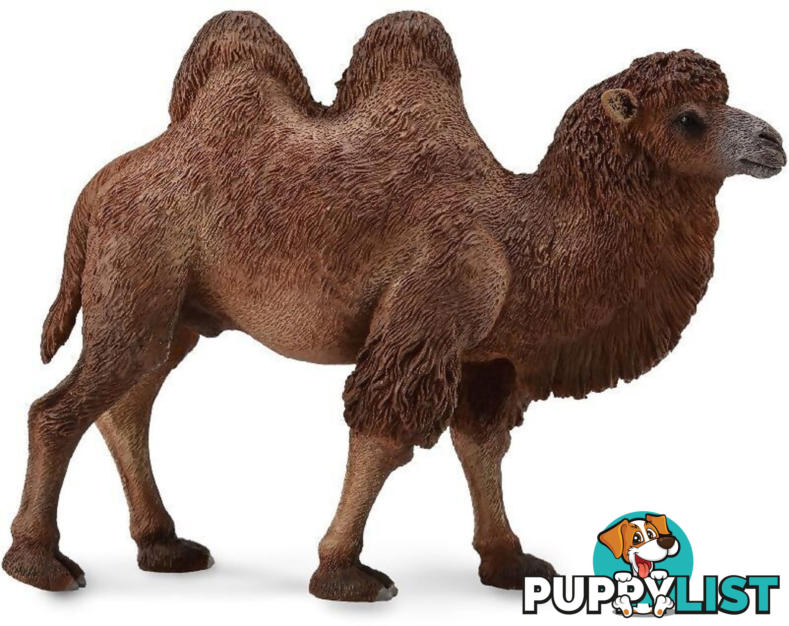 CollectA - Bactrian Camel Large Figurine - Rpco88071 - 4892900888071