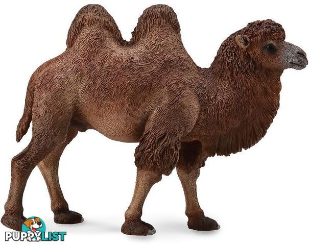 CollectA - Bactrian Camel Large Figurine - Rpco88071 - 4892900888071