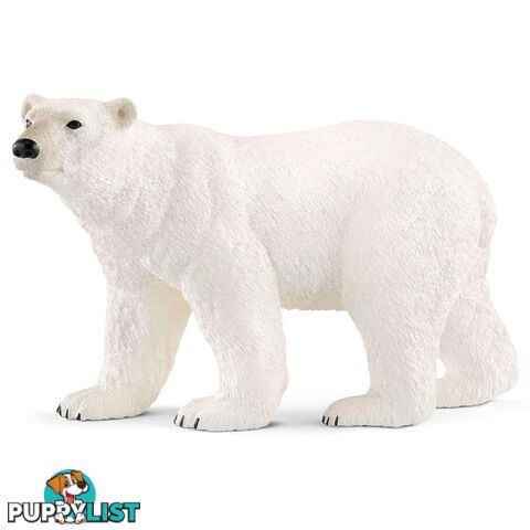 Schleich - Polar Bear Sc14800 - 4055744019777