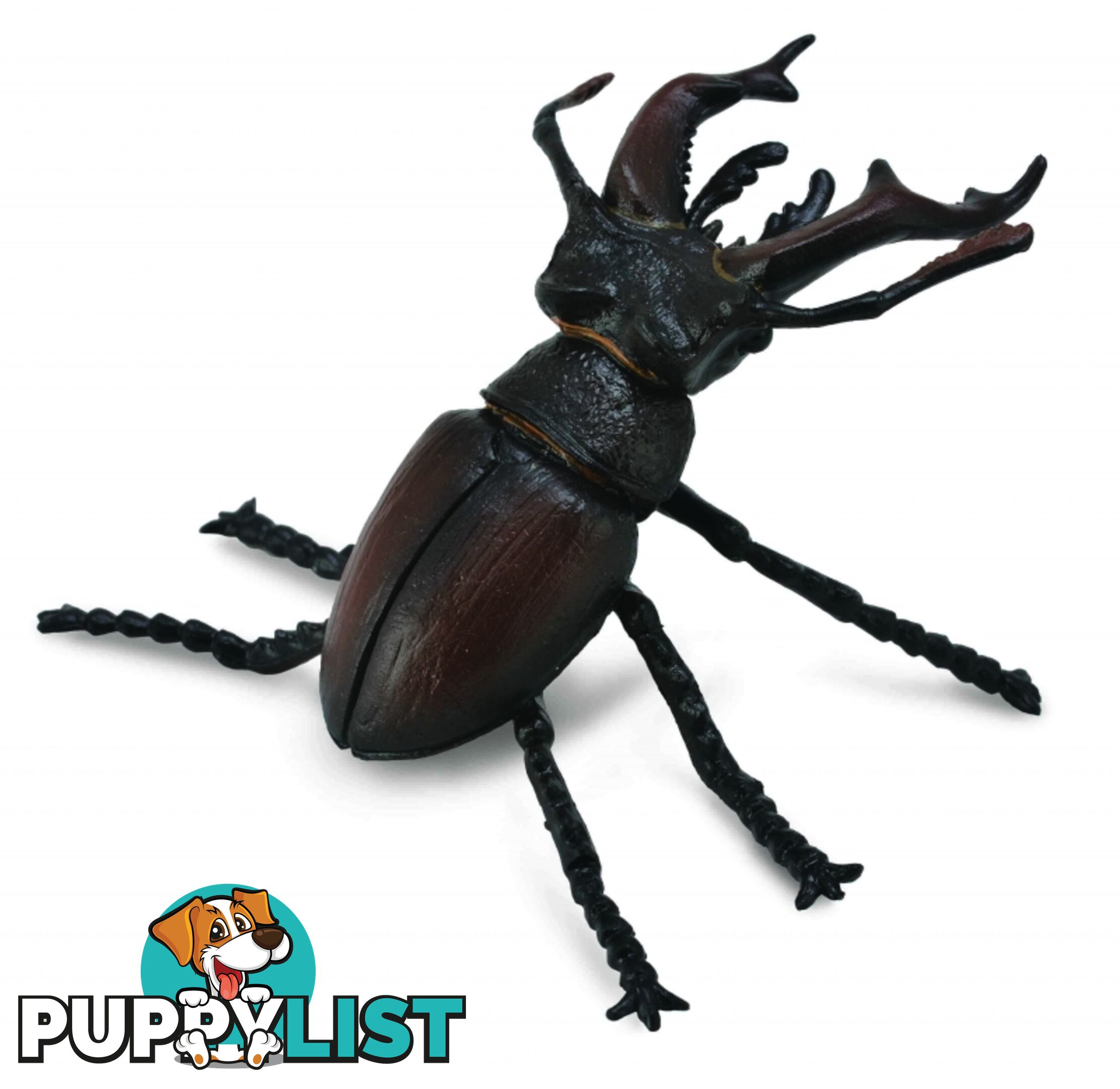 CollectA Stag Beetle Animal Figurine - Rpco88703 - 4892900887036