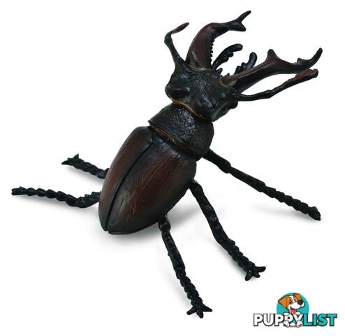 CollectA Stag Beetle Animal Figurine - Rpco88703 - 4892900887036