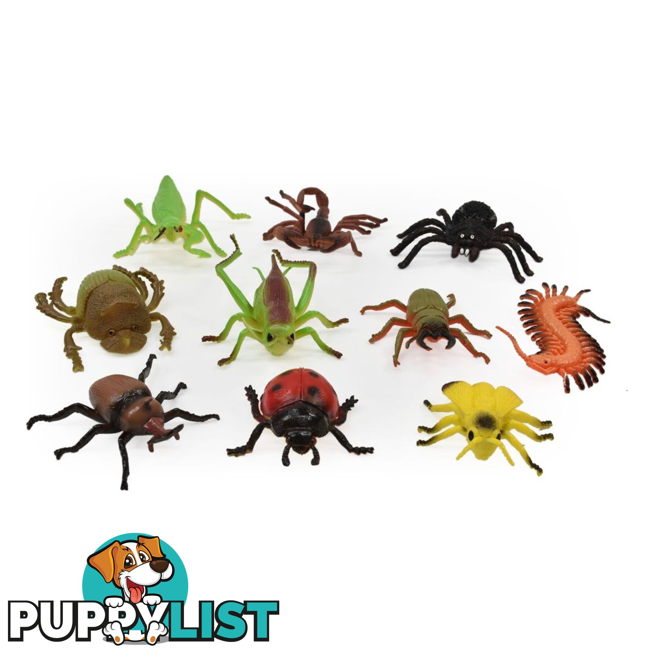 Insect World 10 Piece Set Art64267 - 5018621210468