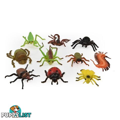 Insect World 10 Piece Set Art64267 - 5018621210468