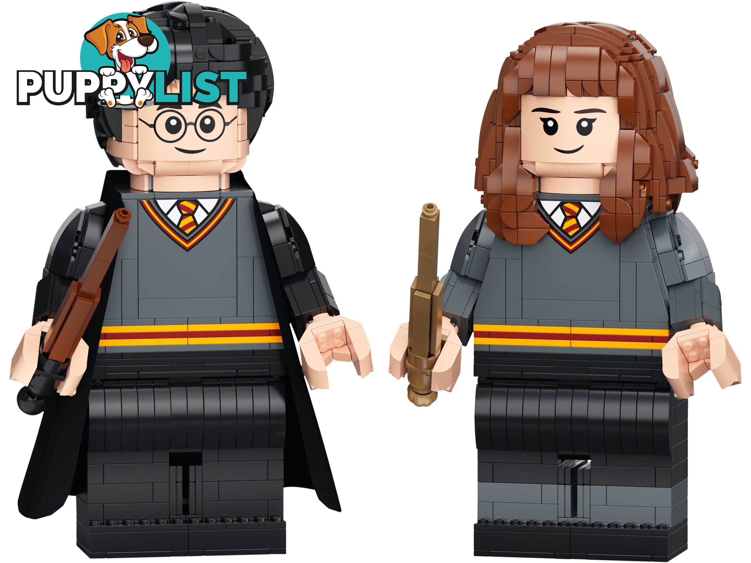 LEGO 76393 Harry Potter & Hermione Granger - Harry Potter - 5702016971637