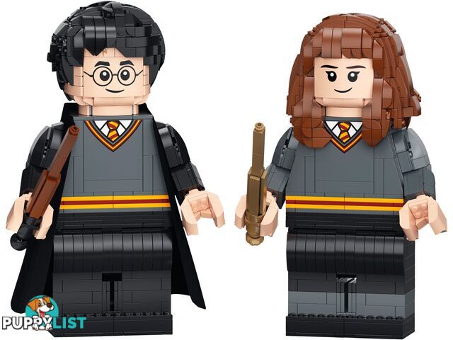 LEGO 76393 Harry Potter & Hermione Granger - Harry Potter - 5702016971637