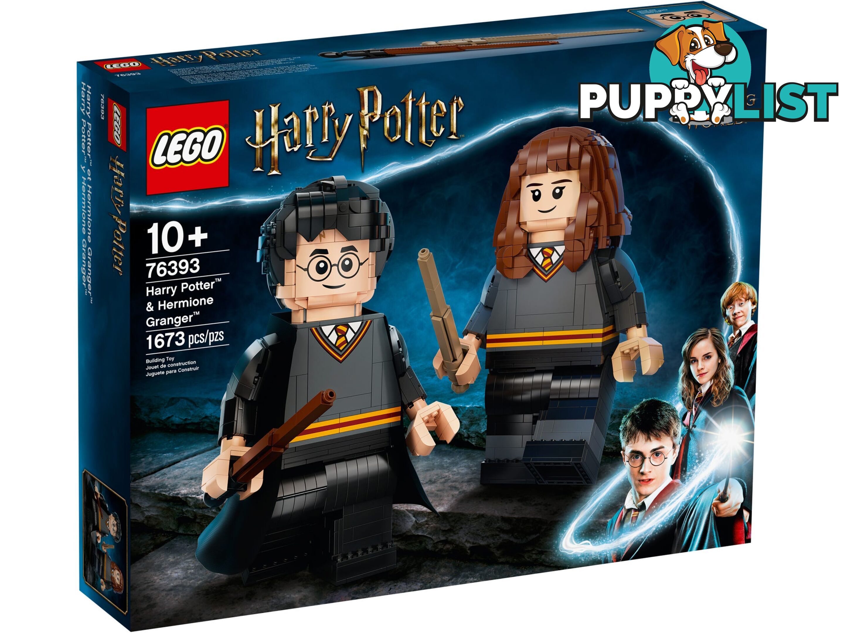 LEGO 76393 Harry Potter & Hermione Granger - Harry Potter - 5702016971637