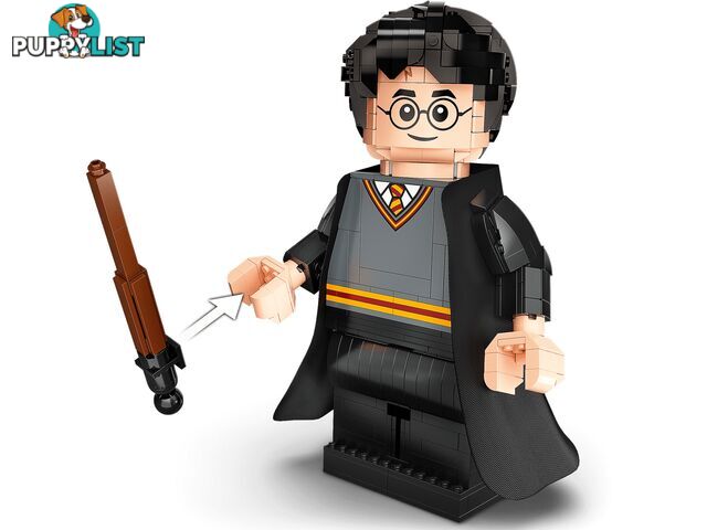 LEGO 76393 Harry Potter & Hermione Granger - Harry Potter - 5702016971637