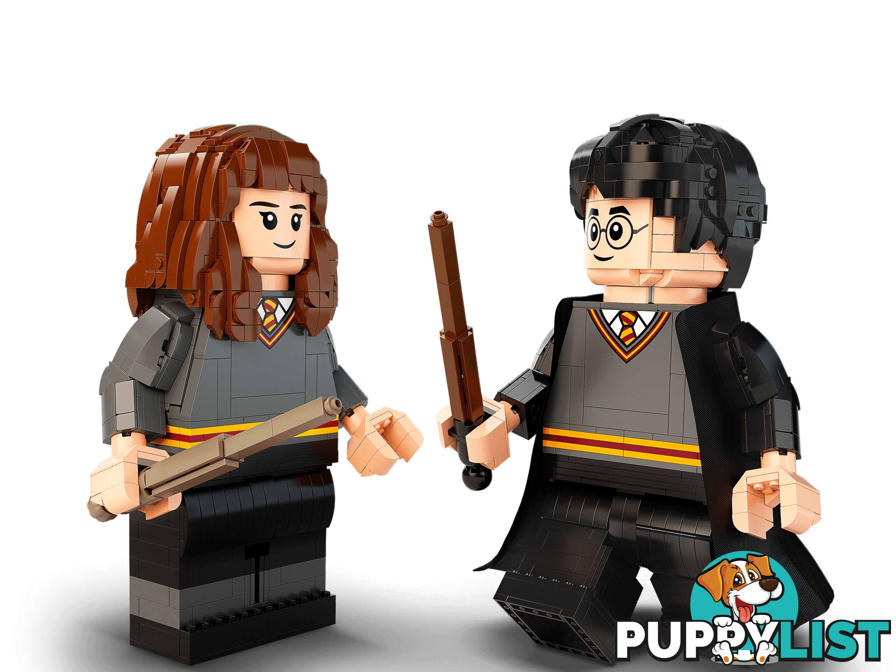 LEGO 76393 Harry Potter & Hermione Granger - Harry Potter - 5702016971637