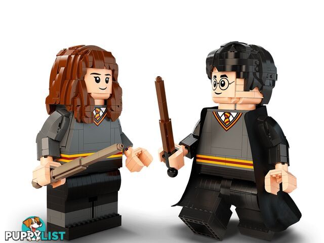 LEGO 76393 Harry Potter & Hermione Granger - Harry Potter - 5702016971637