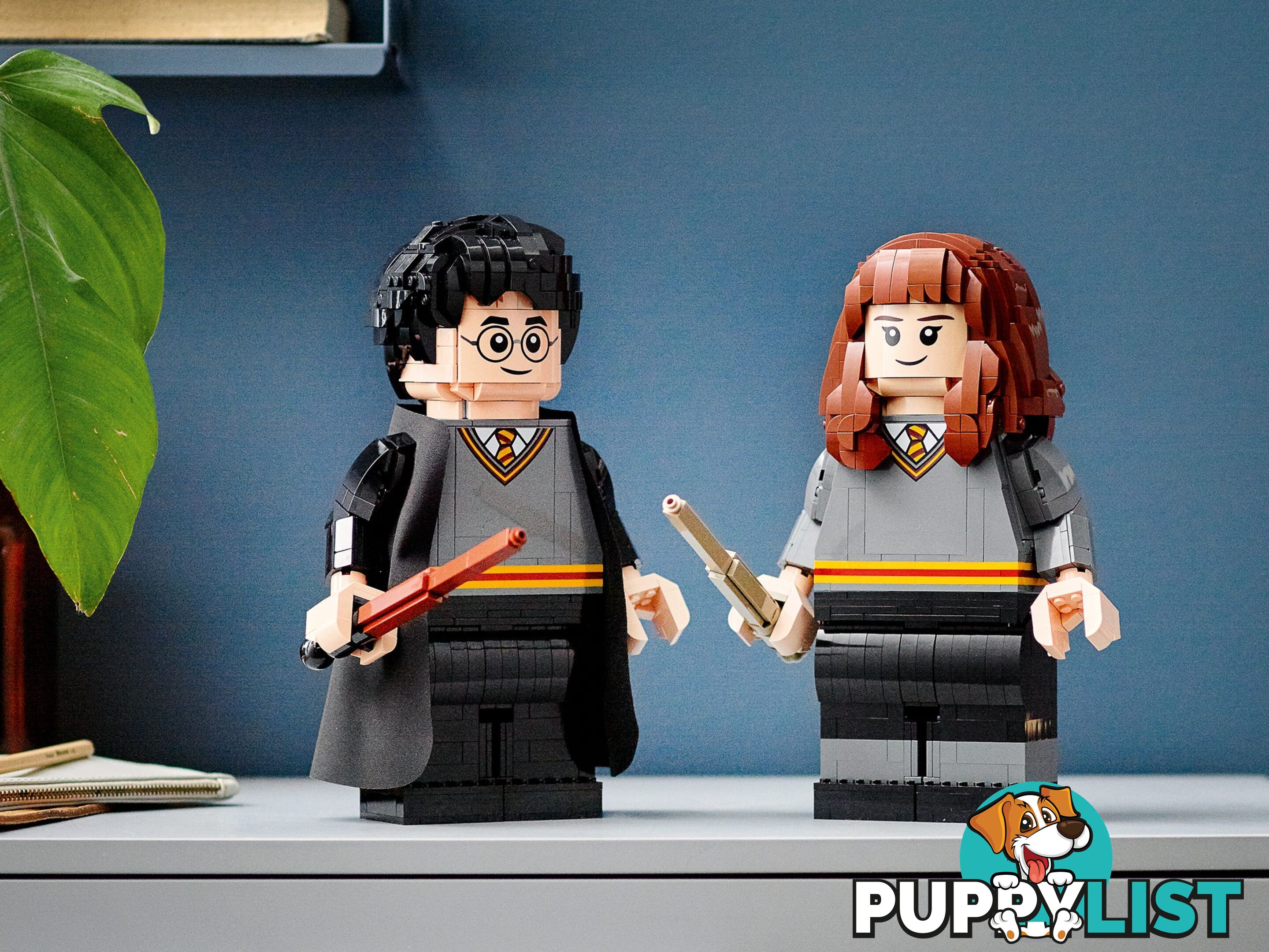 LEGO 76393 Harry Potter & Hermione Granger - Harry Potter - 5702016971637