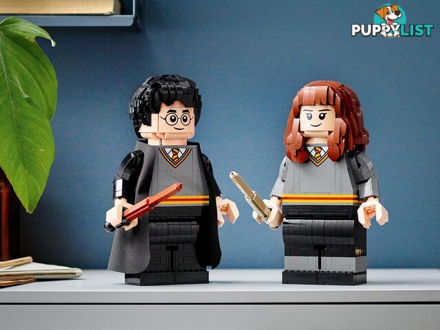 LEGO 76393 Harry Potter & Hermione Granger - Harry Potter - 5702016971637