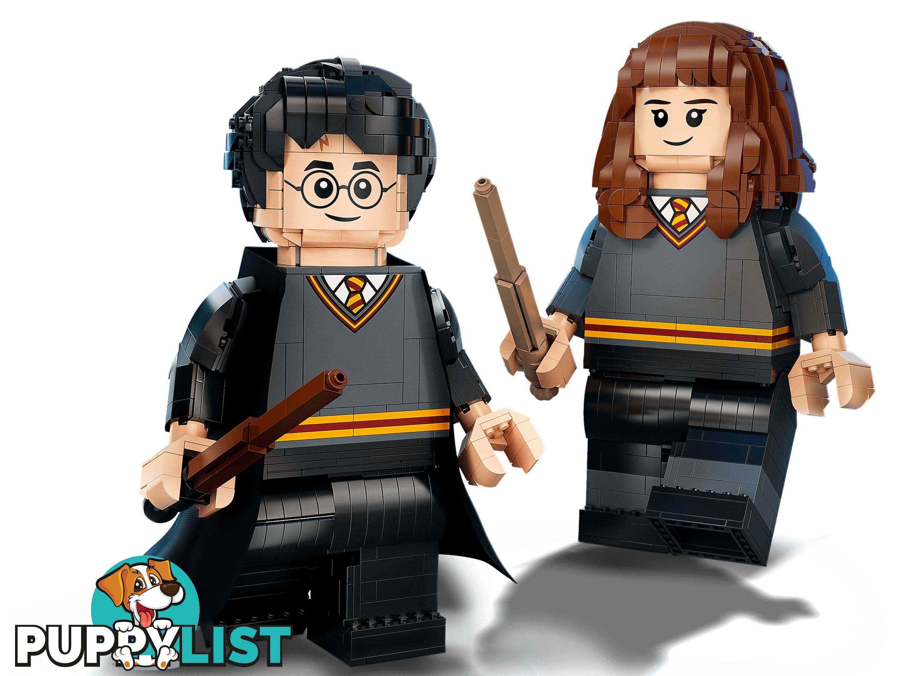 LEGO 76393 Harry Potter & Hermione Granger - Harry Potter - 5702016971637