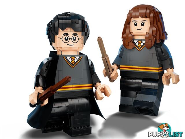 LEGO 76393 Harry Potter & Hermione Granger - Harry Potter - 5702016971637