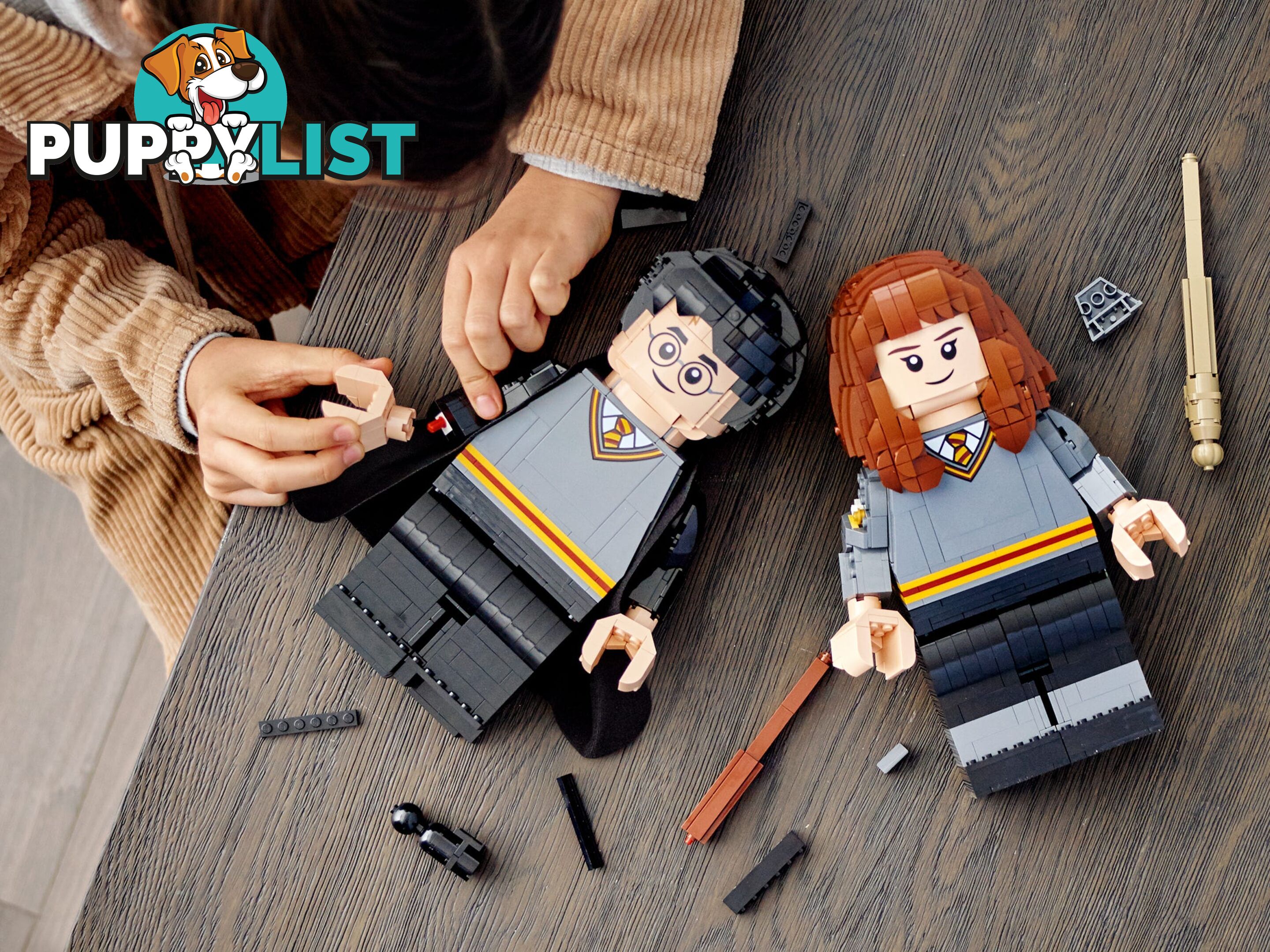 LEGO 76393 Harry Potter & Hermione Granger - Harry Potter - 5702016971637