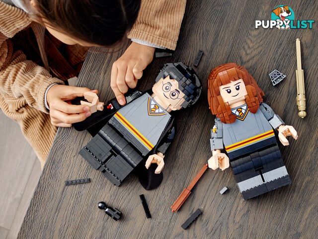 LEGO 76393 Harry Potter & Hermione Granger - Harry Potter - 5702016971637