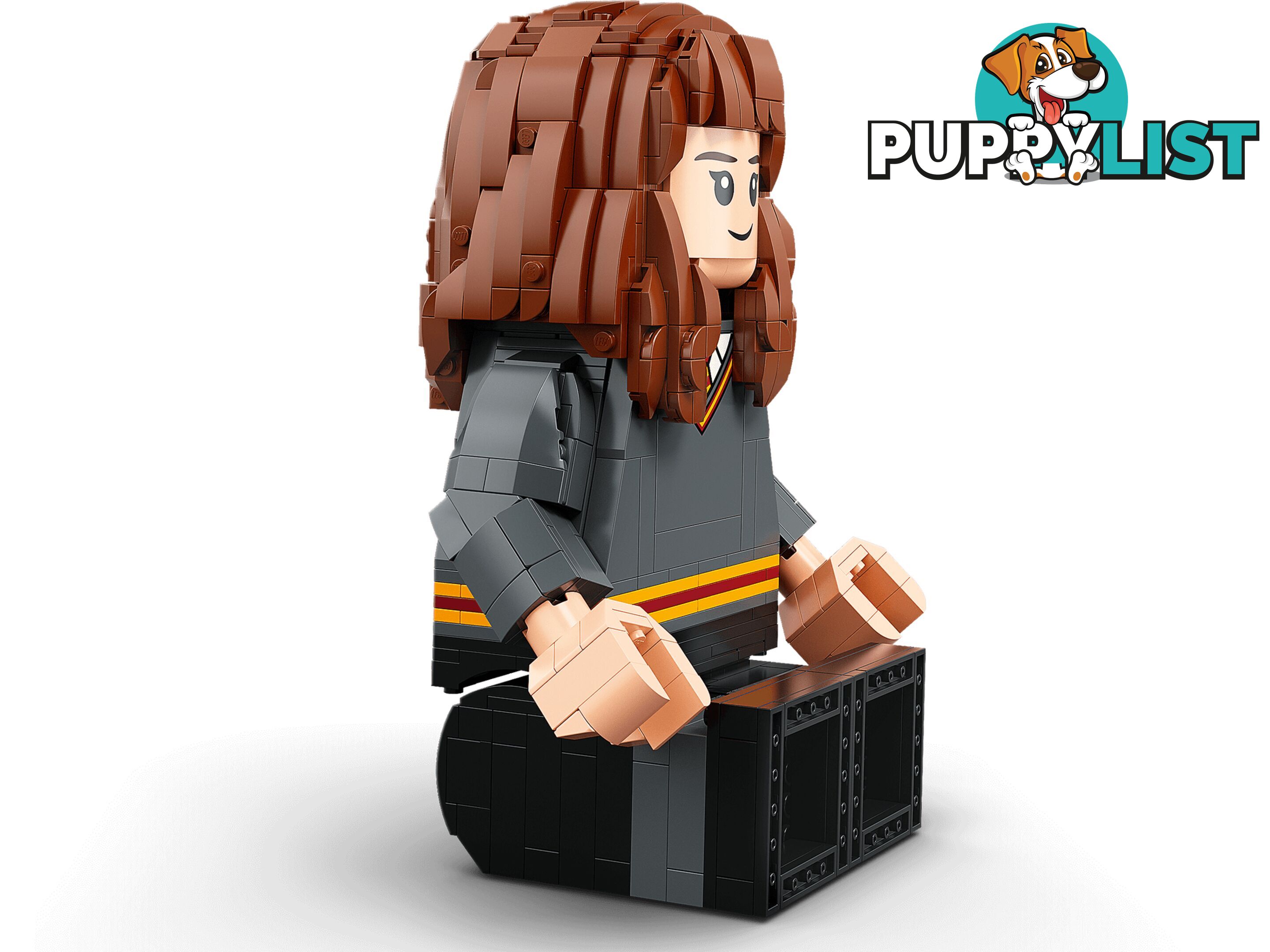 LEGO 76393 Harry Potter & Hermione Granger - Harry Potter - 5702016971637