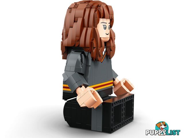 LEGO 76393 Harry Potter & Hermione Granger - Harry Potter - 5702016971637