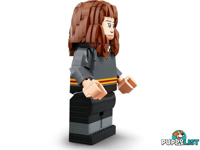 LEGO 76393 Harry Potter & Hermione Granger - Harry Potter - 5702016971637