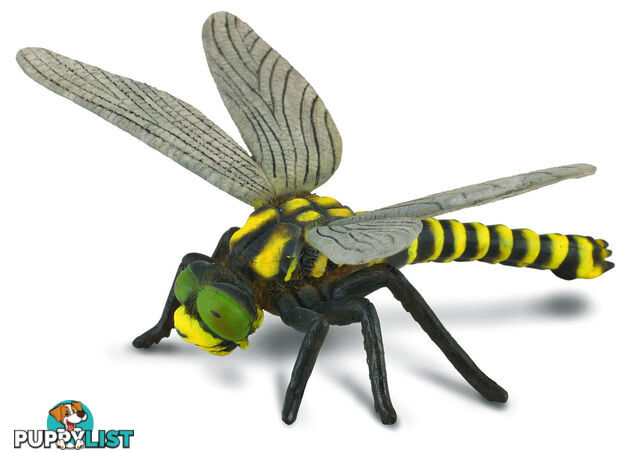 CollectA Golden Ringed Dragonfly Animal Figurine - Rpco88350 - 4892900883502