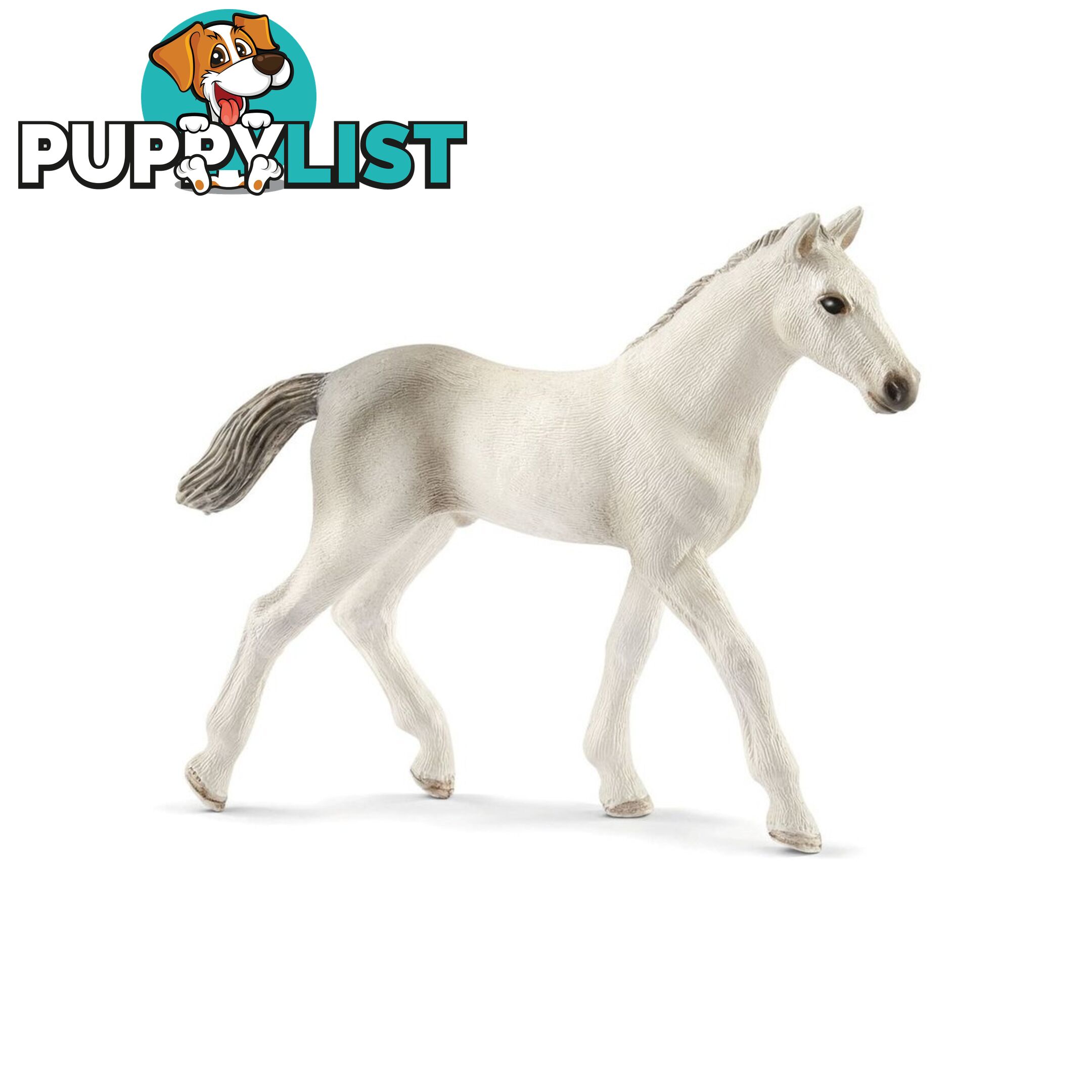 Schleich - Holsteiner Foal Sc13860 - 4055744021350