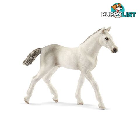 Schleich - Holsteiner Foal Sc13860 - 4055744021350