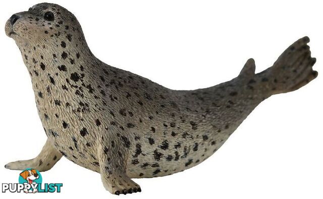 CollectA - Spotted Seal Large Animal Figurine - Rpco88658 - 4892900886589