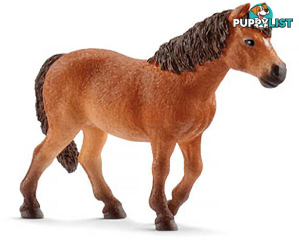 Schleich - Dartmoor Pony Mare - Mdsc13873 - 4055744020551