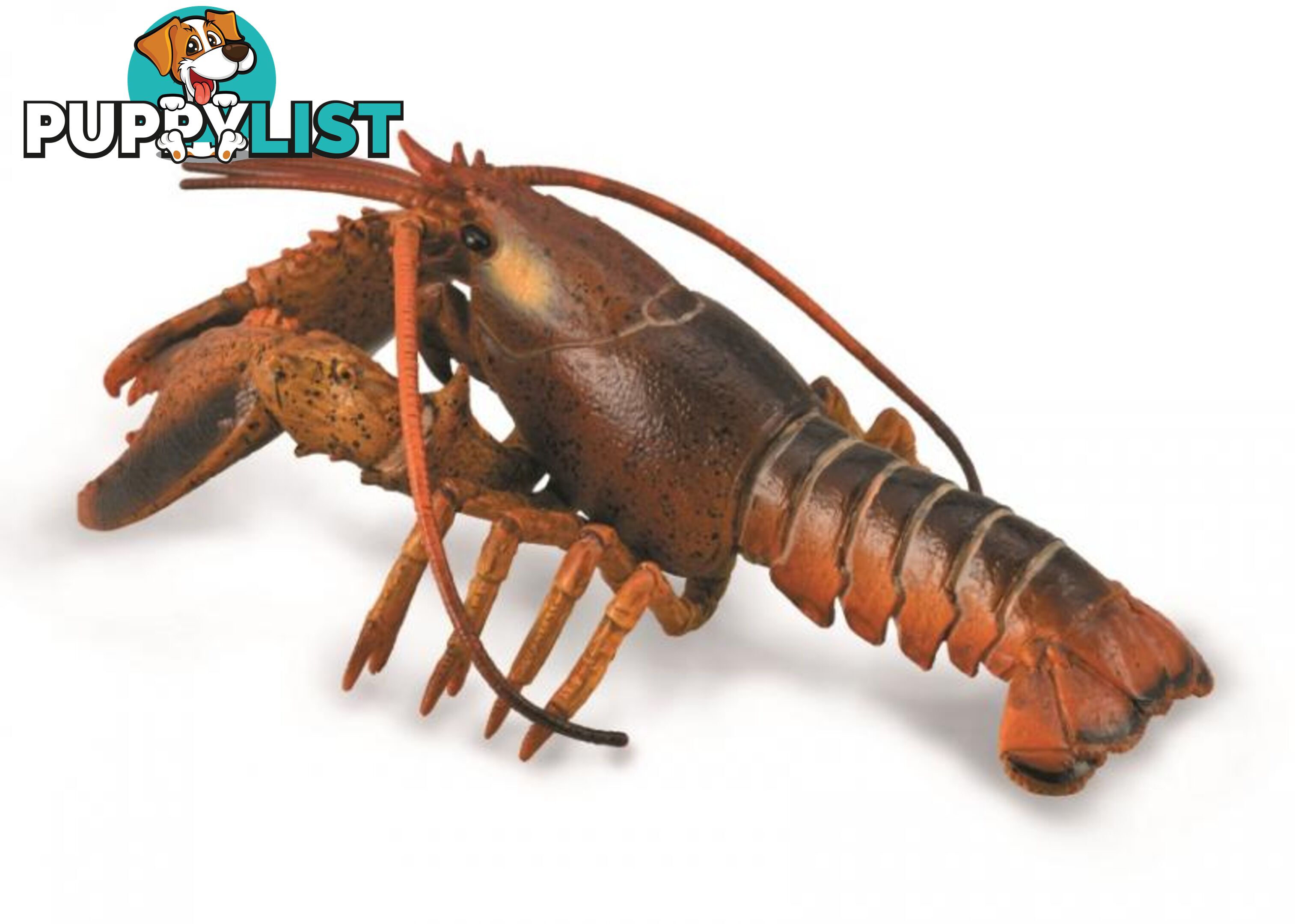 CollectA Lobster Animal Figurine - Rpco88920 - 4892900889207