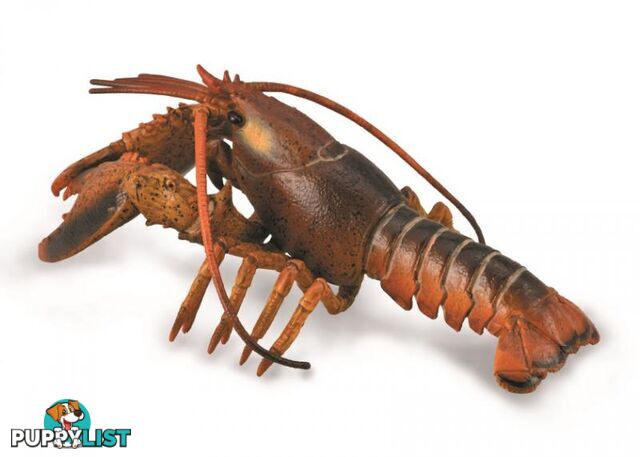 CollectA Lobster Animal Figurine - Rpco88920 - 4892900889207