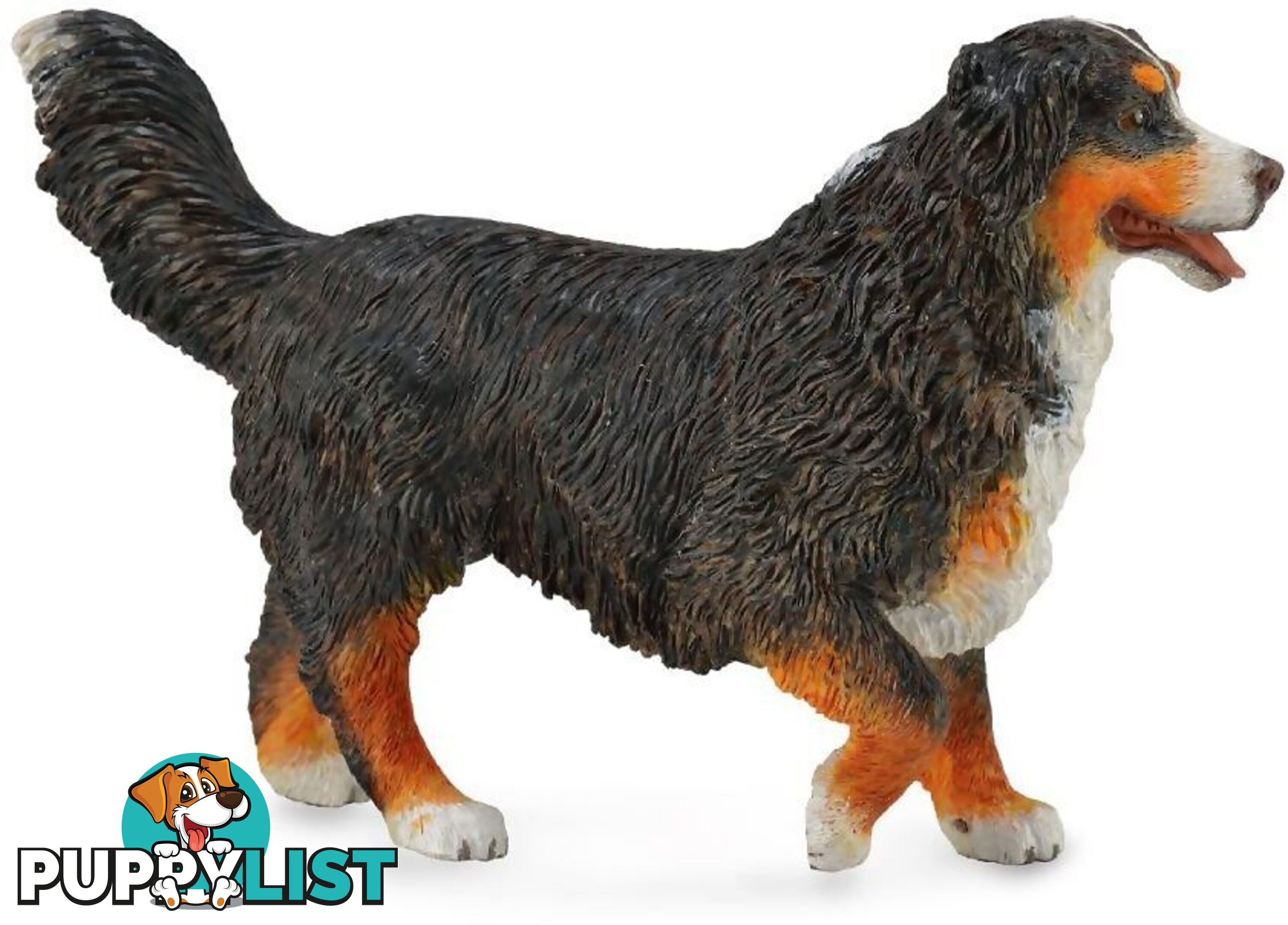 CollectA - Bernese Mountain Dog Figurine - Rpco88801 - 4892900888019