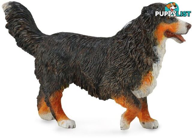 CollectA - Bernese Mountain Dog Figurine - Rpco88801 - 4892900888019