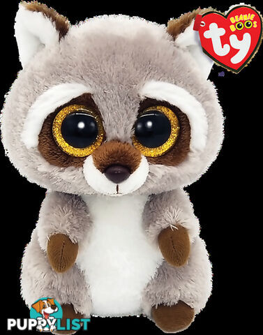 Ty - Beanie Boos - Oakie Brown Raccoon Small 15cm - Bg36375 - 008421363759