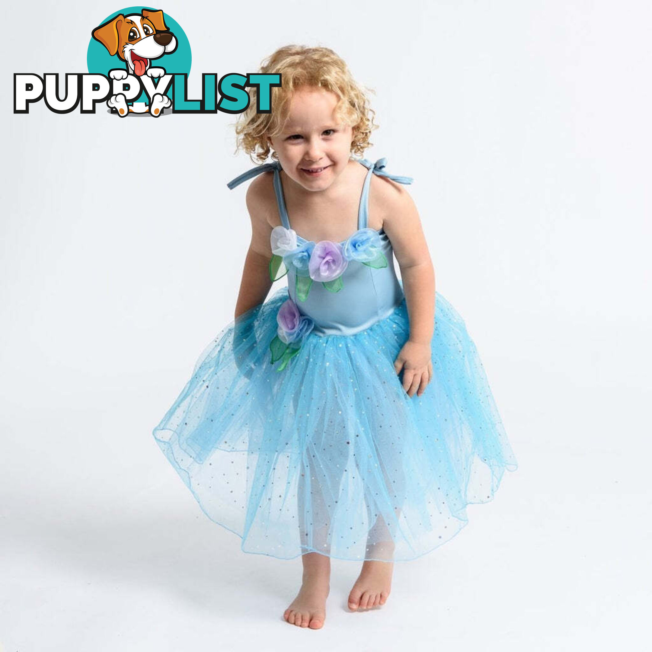 Fairy Girls - Costume Sugarplum Ballerina Dress Blue Medium - Fg Fg507bm - 9787110075074