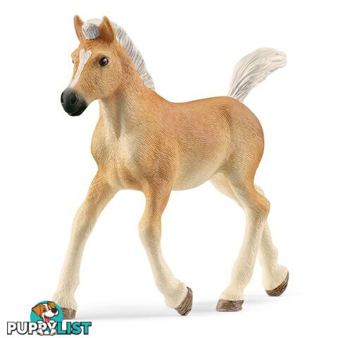 Schleich - Haflinger Foal Horse Figurine - Mdsc13951 - 4059433557519