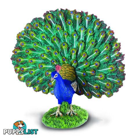 CollectA Peacock Bird Animal Figurine - Rpco88209 - 4892900882093