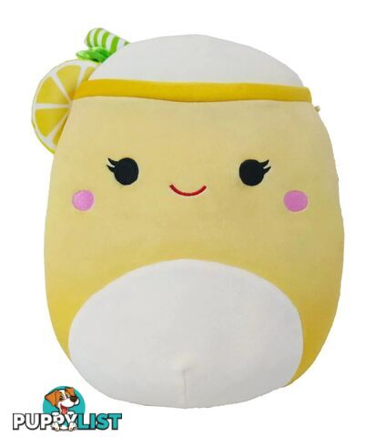 Squishmallows - Plush 14" Snack Squad Assorted Styles SQ2214ASTS - 734689251254