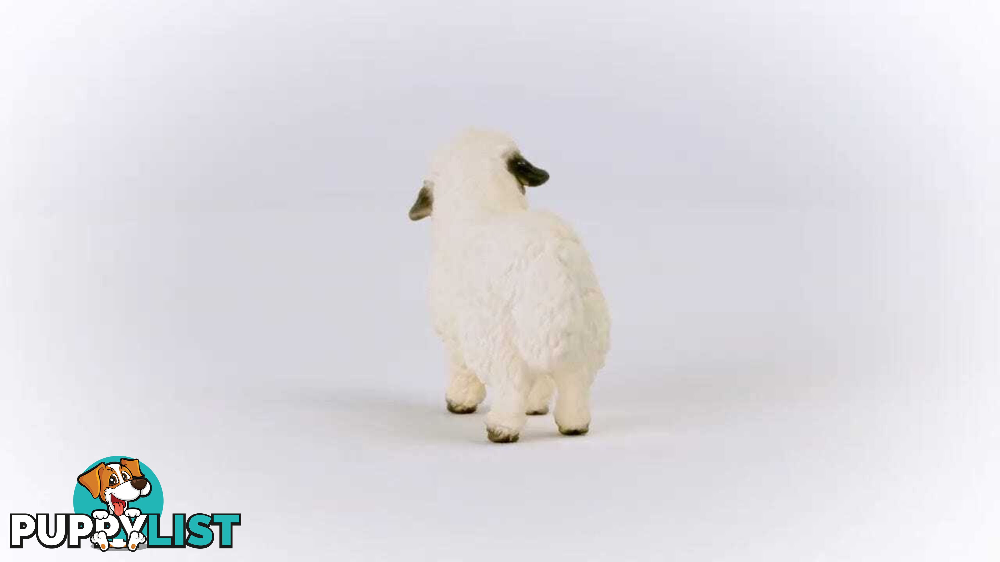 Schleich - Valais Blacknose Sheep - Farm World - Mdsc13965 - 4059433527628