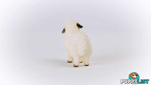 Schleich - Valais Blacknose Sheep - Farm World - Mdsc13965 - 4059433527628