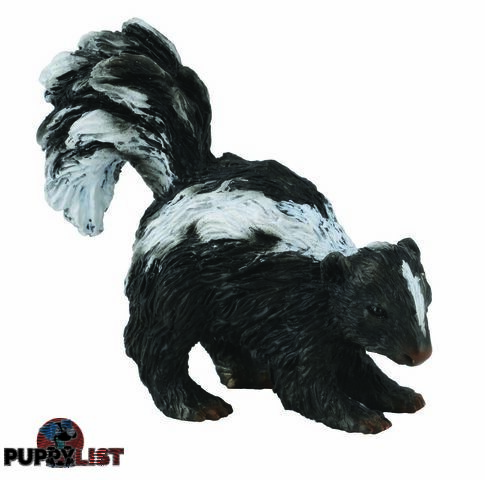 CollectA Skunk Small Animal Figurine - Rpco88381 - 4892900883816