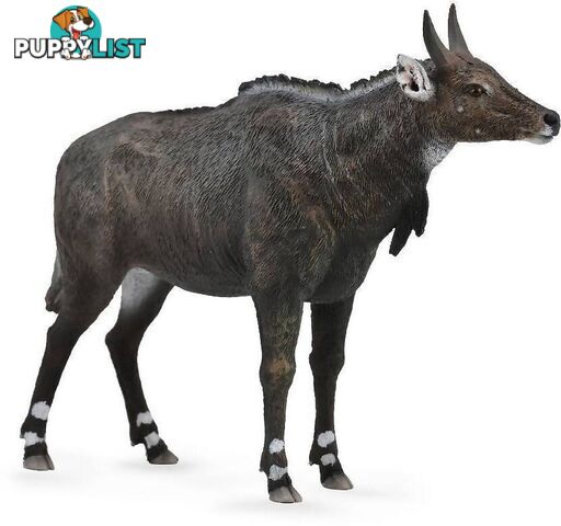 CollectA - Nilgai Large Animal Figurine - Rpco88764 - 4892900887647