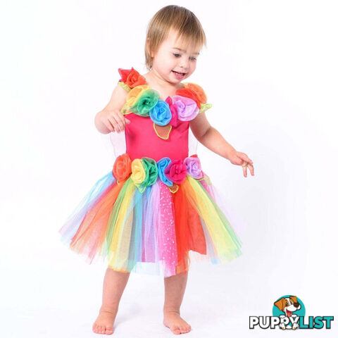 Fairy Girls - Costume Fairy Toddler Rainbow X-small - Fgfb258r - 9787108032584