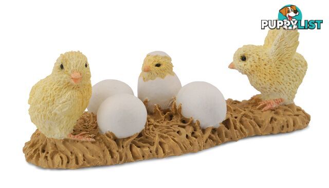 CollectA Chicks Hatching Animal Figurine - Rpco88480 - 4892900884806