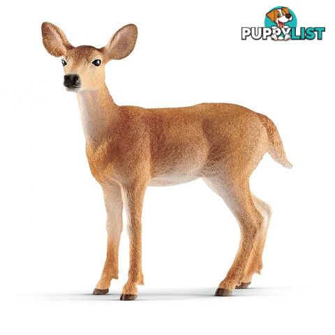 Schleich - White Tailed Doe Sc14819 - 4055744029615