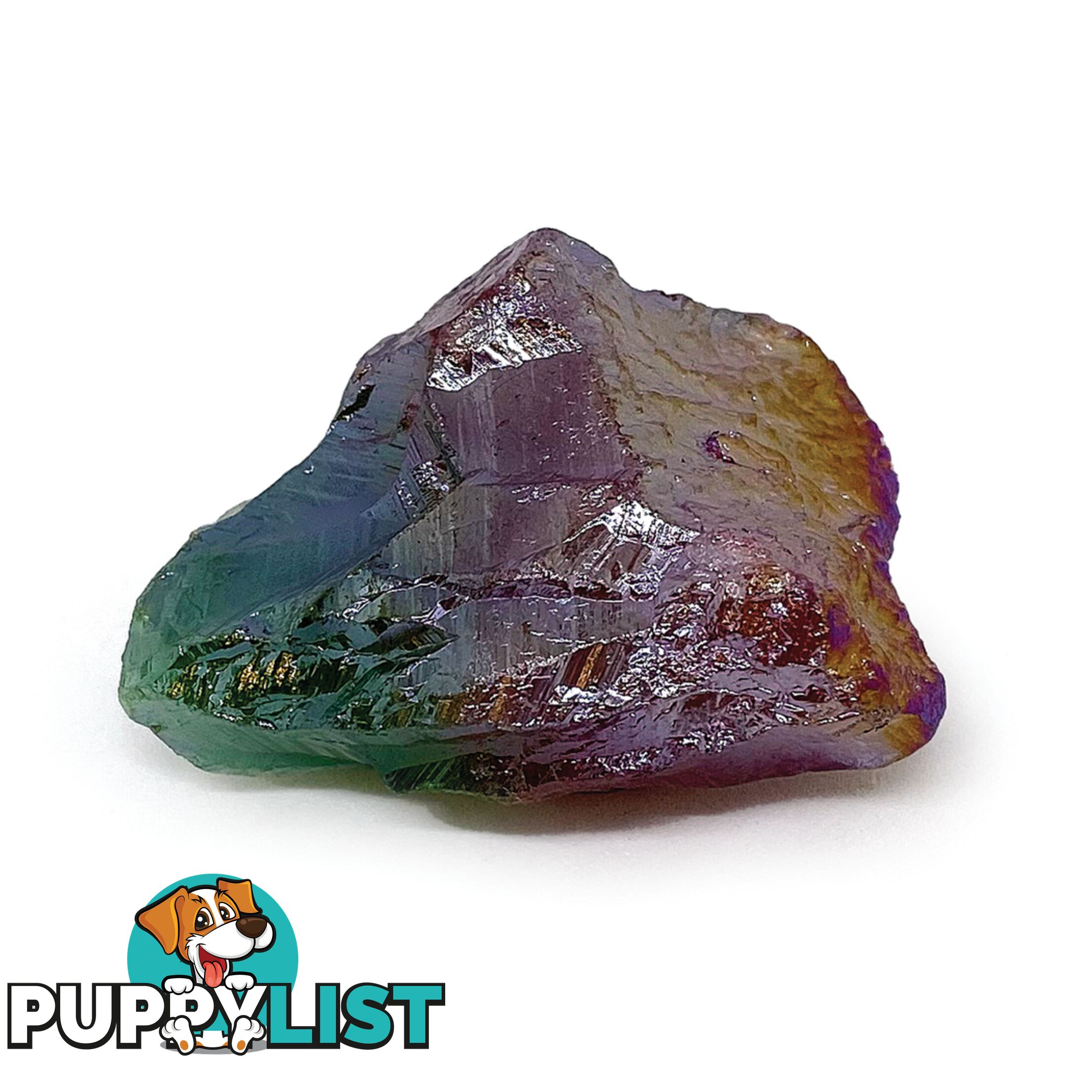 Dinosart Collectible Meteor Stone Blind Pack - Mddin15301 - 694704153010