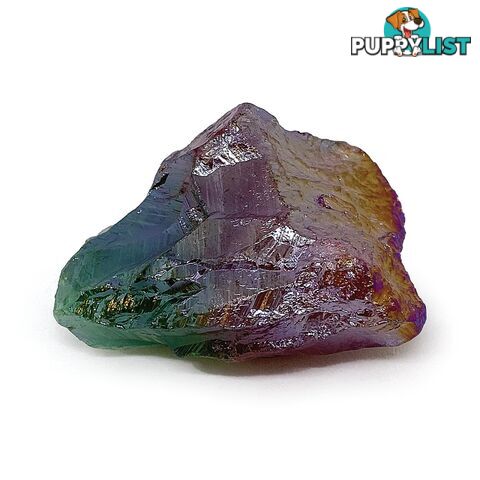 Dinosart Collectible Meteor Stone Blind Pack - Mddin15301 - 694704153010