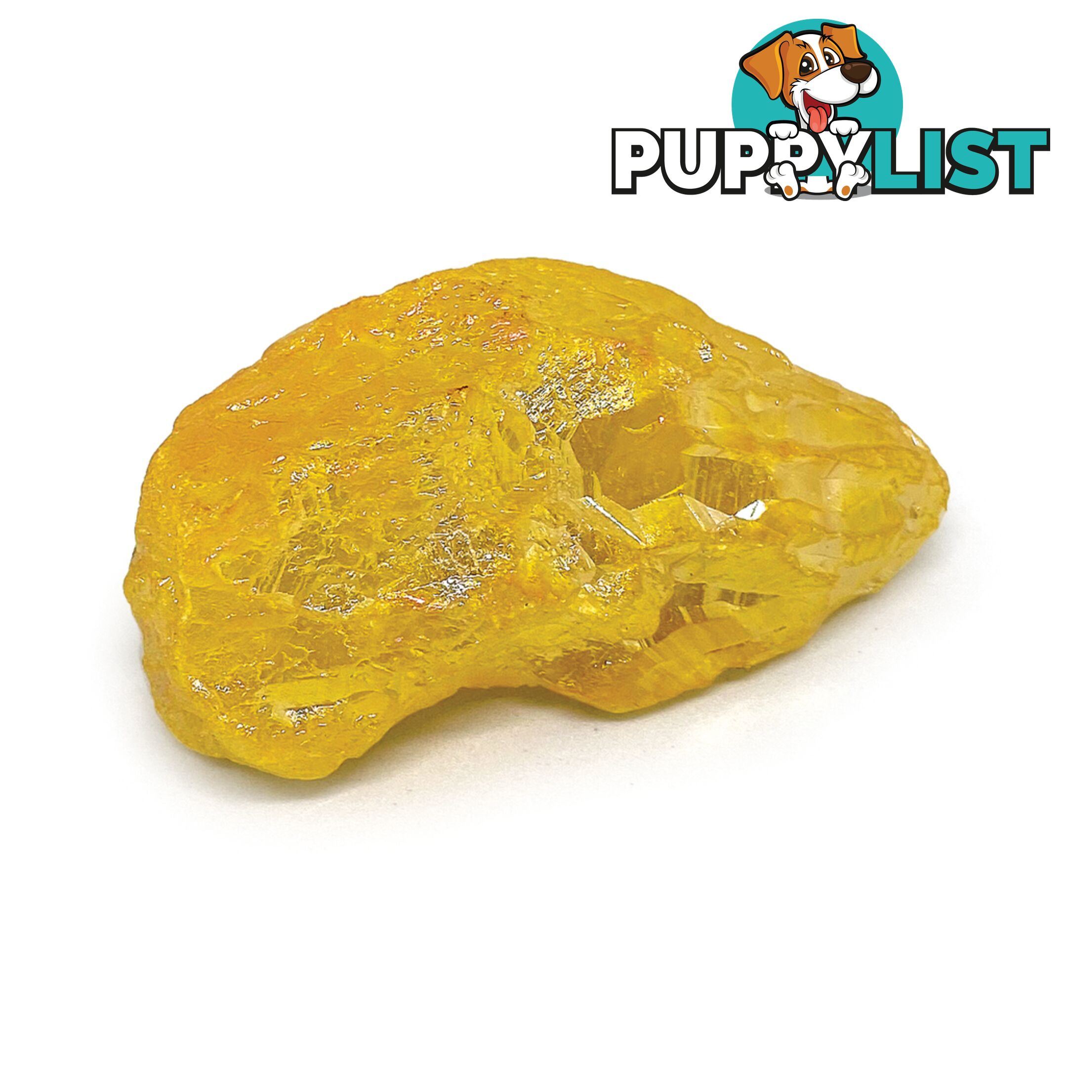 Dinosart Collectible Meteor Stone Blind Pack - Mddin15301 - 694704153010