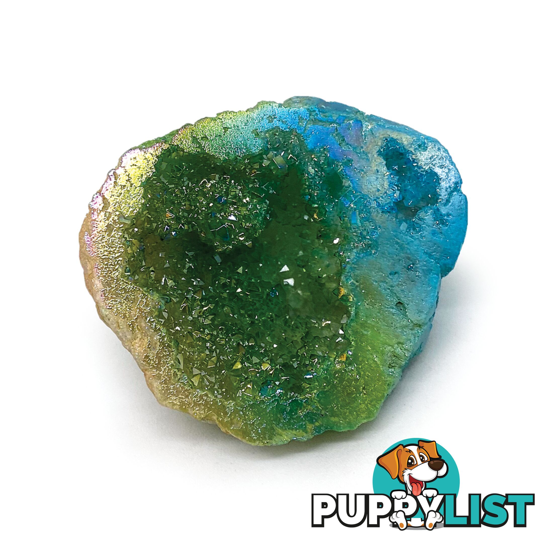 Dinosart Collectible Meteor Stone Blind Pack - Mddin15301 - 694704153010