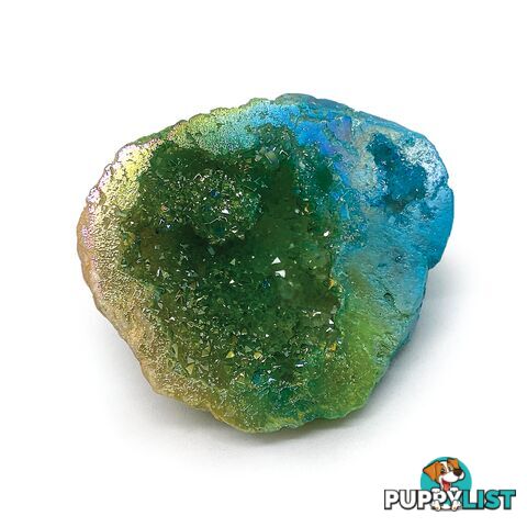 Dinosart Collectible Meteor Stone Blind Pack - Mddin15301 - 694704153010