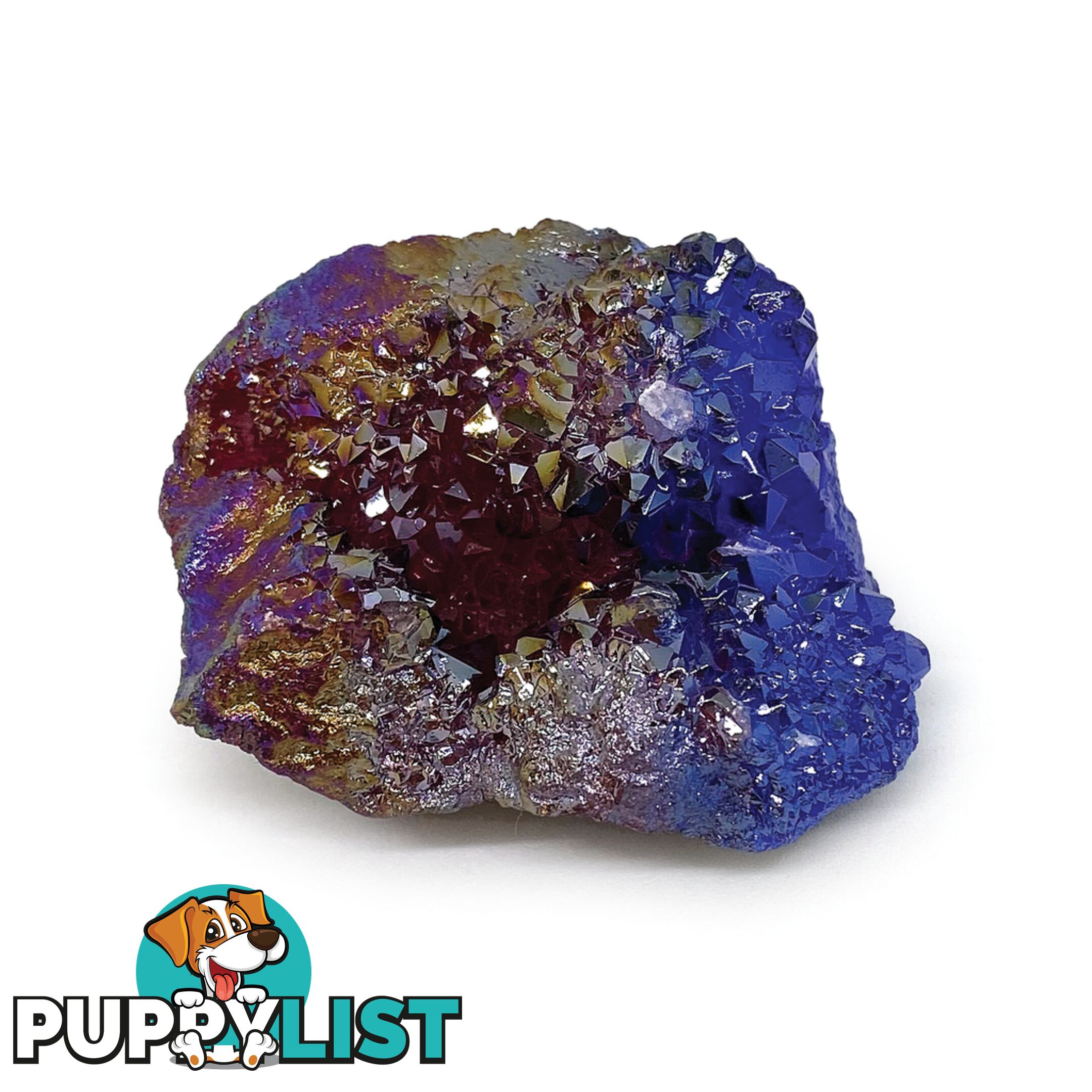 Dinosart Collectible Meteor Stone Blind Pack - Mddin15301 - 694704153010